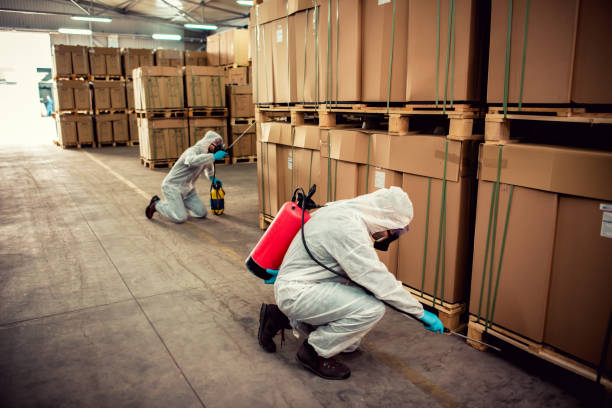 Best Ant Control Services  in Hallowell, ME