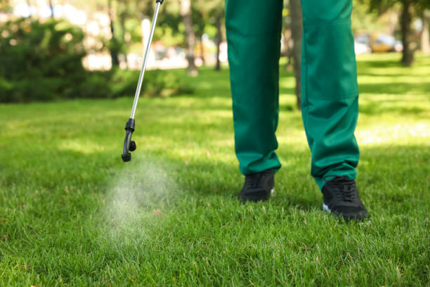 Best Mosquito Control Services  in Hallowell, ME