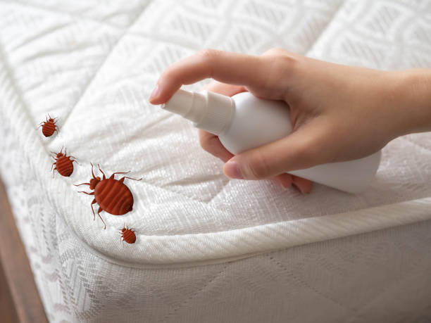 Best Affordable Pest Control Services  in Hallowell, ME