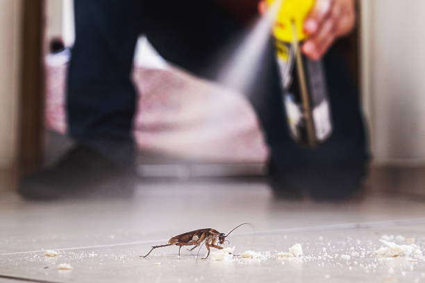 Best Bed Bug Extermination  in Hallowell, ME